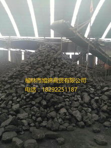 出售陕西神木榆林烤烟煤炭批发气化煤6000以上13籽煤价格